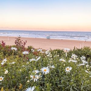 Meet your Posher, Chanelle